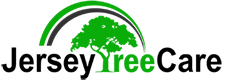 Jersey Tree Care